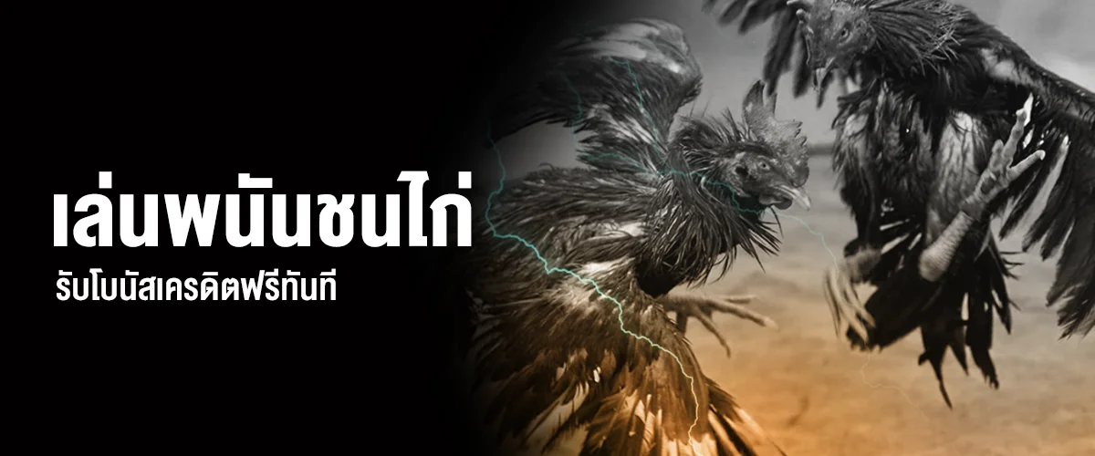 เล่นพนันชนไก่เว็บตรง รับโบนัสเครดิตฟรีทันที